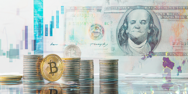 Profitium Vistaの秘密を解き明かす: 信頼できるか？